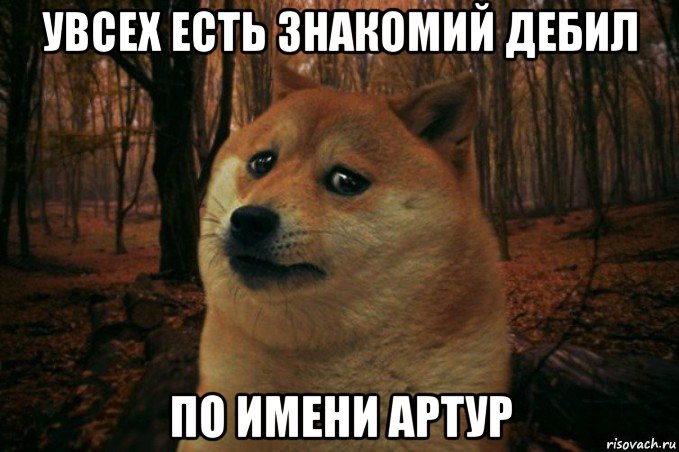 увсех есть знакомий дебил по имени артур, Мем SAD DOGE