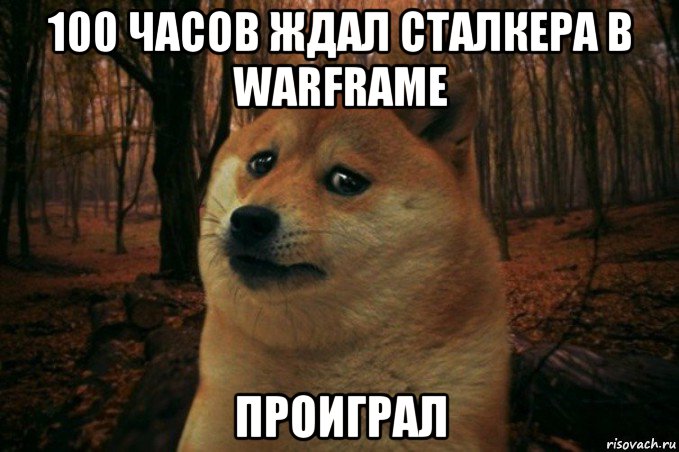 100 часов ждал сталкера в warframe проиграл, Мем SAD DOGE