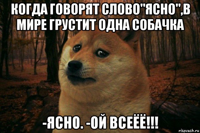 когда говорят слово"ясно",в мире грустит одна собачка -ясно. -ой всеёё!!!, Мем SAD DOGE