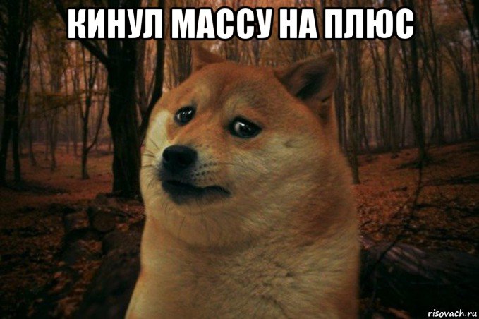 кинул массу на плюс , Мем SAD DOGE