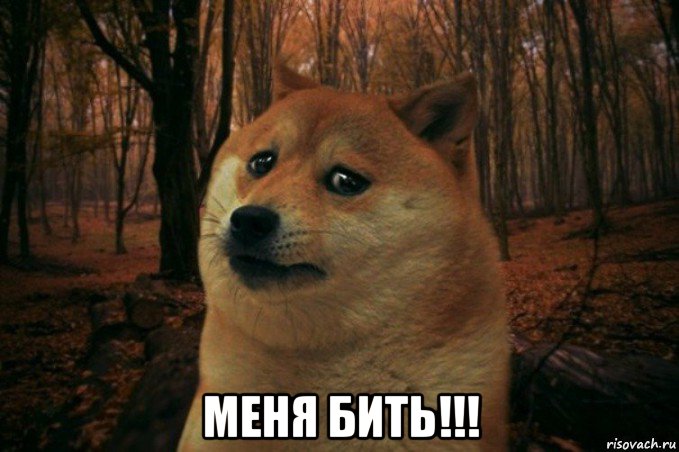  меня бить!!!, Мем SAD DOGE