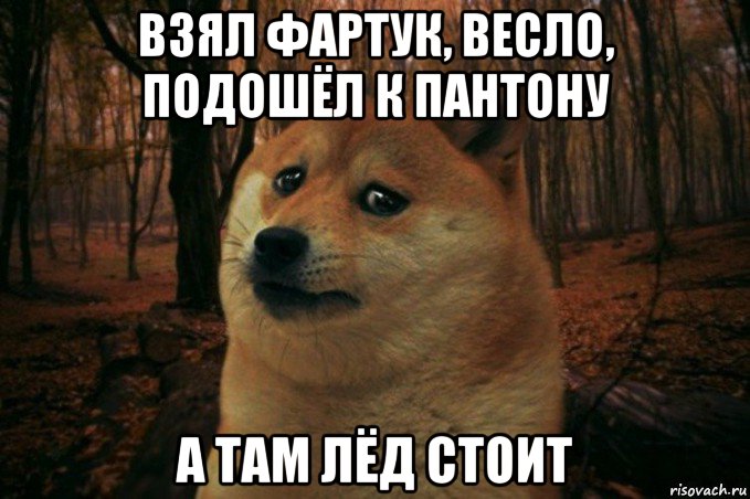 взял фартук, весло, подошёл к пантону а там лёд стоит, Мем SAD DOGE