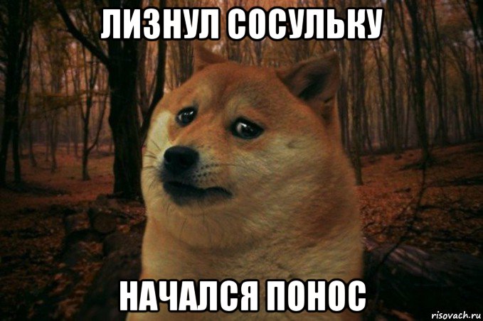 лизнул сосульку начался понос, Мем SAD DOGE