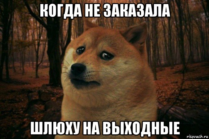 когда не заказала шлюху на выходные, Мем SAD DOGE