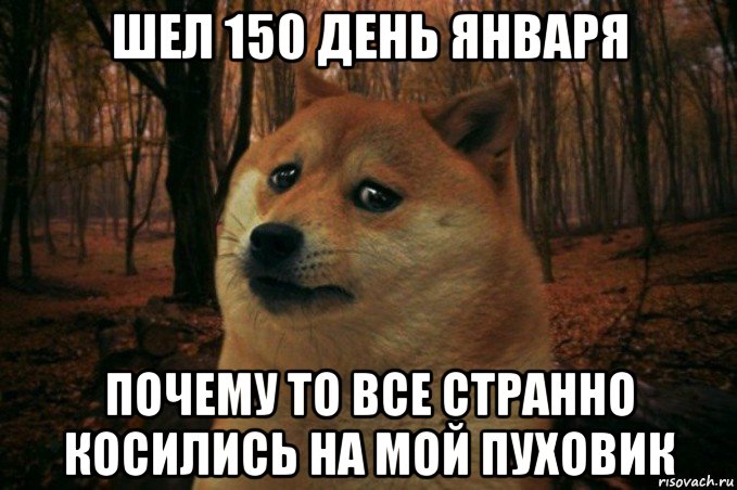 шел 150 день января почему то все странно косились на мой пуховик, Мем SAD DOGE