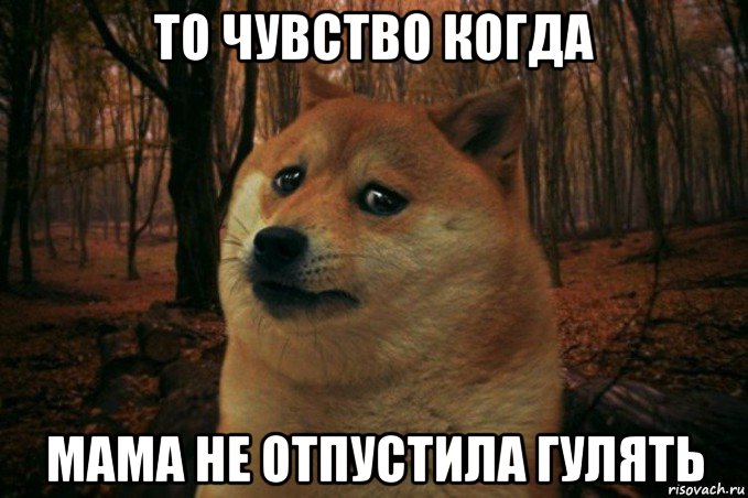 то чувство когда мама не отпустила гулять, Мем SAD DOGE