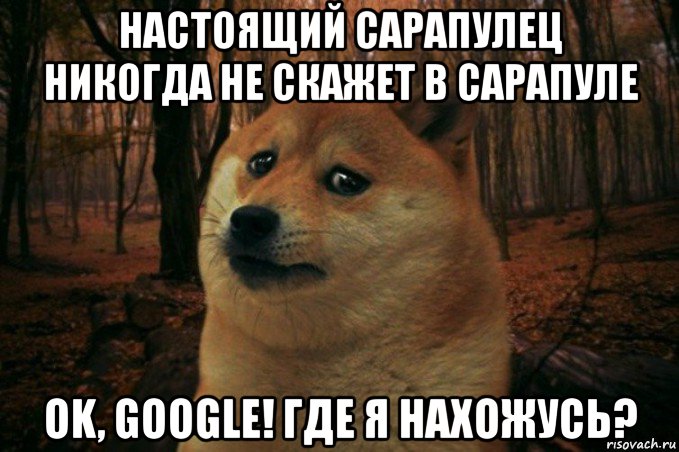 настоящий сарапулец никогда не скажет в сарапуле ok, google! где я нахожусь?, Мем SAD DOGE