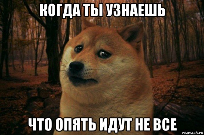 когда ты узнаешь что опять идут не все, Мем SAD DOGE