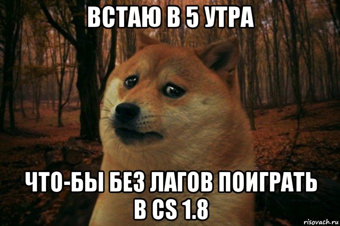 встаю в 5 утра что-бы без лагов поиграть в cs 1.8, Мем SAD DOGE