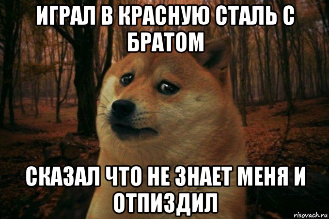 играл в красную сталь с братом сказал что не знает меня и отпиздил, Мем SAD DOGE