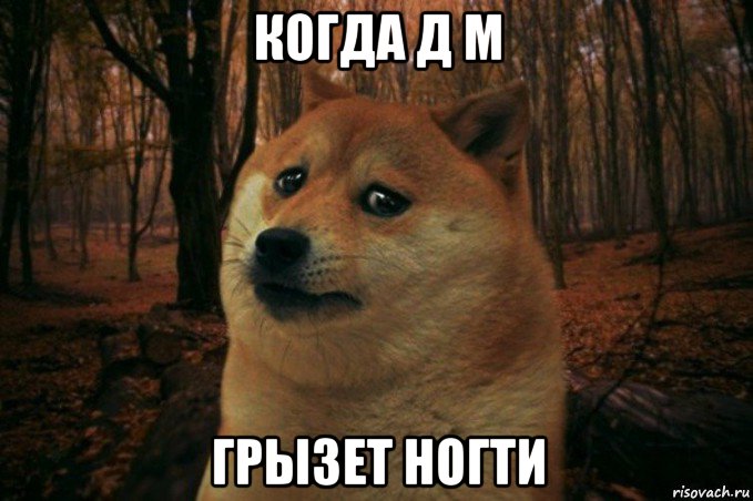 когда д м грызет ногти, Мем SAD DOGE