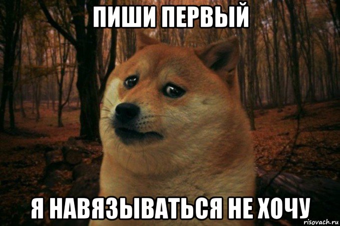 пиши первый я навязываться не хочу, Мем SAD DOGE