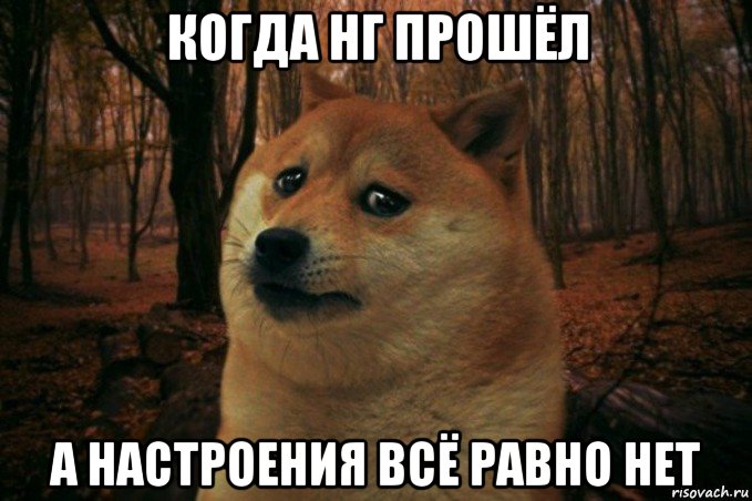 когда нг прошёл а настроения всё равно нет, Мем SAD DOGE