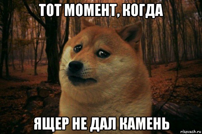 тот момент, когда ящер не дал камень, Мем SAD DOGE