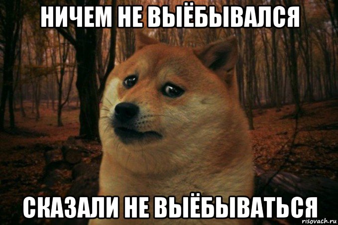 ничем не выёбывался сказали не выёбываться, Мем SAD DOGE