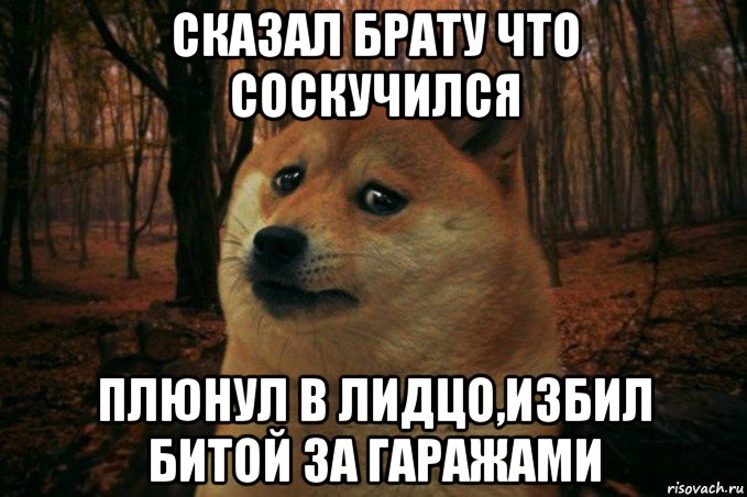 сказал брату что соскучился плюнул в лидцо,избил битой за гаражами, Мем SAD DOGE