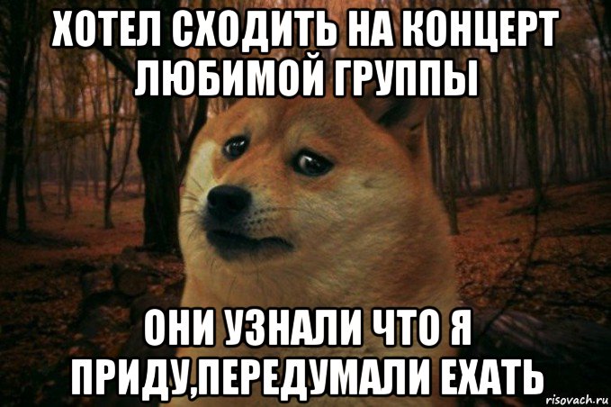 хотел сходить на концерт любимой группы они узнали что я приду,передумали ехать, Мем SAD DOGE