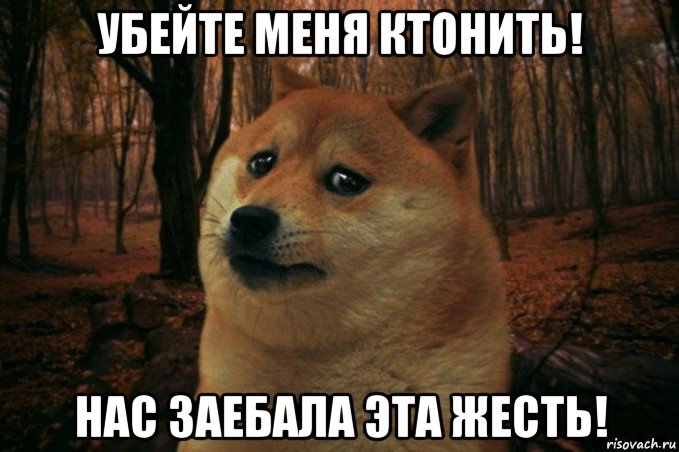 убейте меня ктонить! нас заебала эта жесть!, Мем SAD DOGE