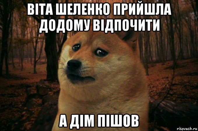 віта шеленко прийшла додому відпочити а дім пішов, Мем SAD DOGE