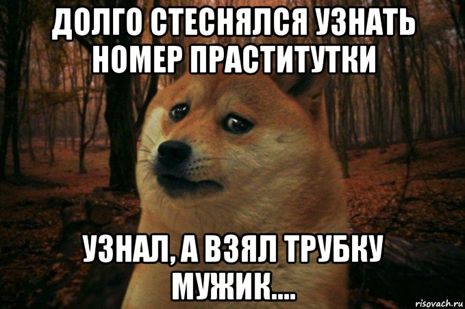 долго стеснялся узнать номер праститутки узнал, а взял трубку мужик...., Мем SAD DOGE