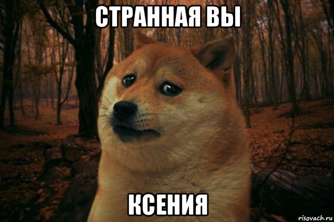 странная вы ксения, Мем SAD DOGE