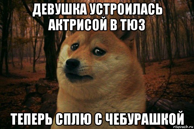 девушка устроилась актрисой в тюз теперь сплю с чебурашкой, Мем SAD DOGE