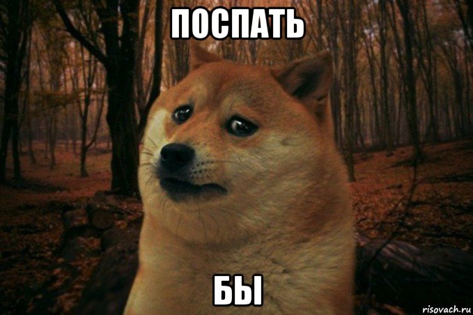 поспать бы, Мем SAD DOGE