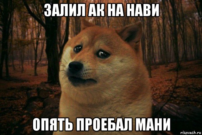 залил ак на нави опять проебал мани, Мем SAD DOGE