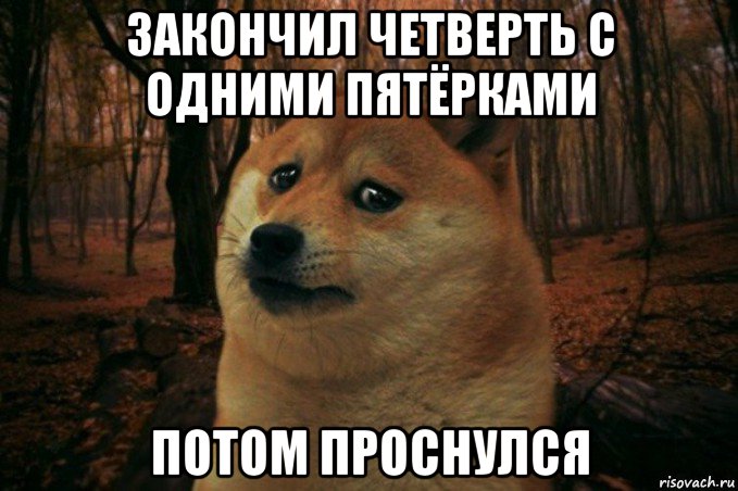 закончил четверть с одними пятёрками потом проснулся, Мем SAD DOGE