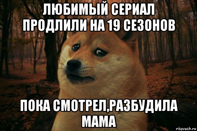 любимый сериал продлили на 19 сезонов пока смотрел,разбудила мама, Мем SAD DOGE