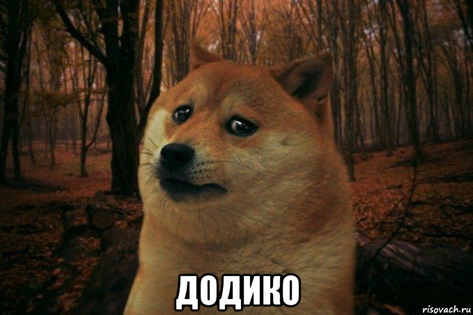  додико, Мем SAD DOGE