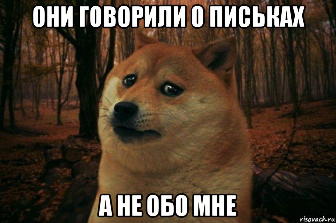 они говорили о письках а не обо мне, Мем SAD DOGE