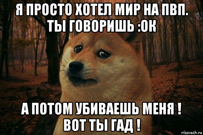 я просто хотел мир на пвп. ты говоришь :ок а потом убиваешь меня ! вот ты гад !, Мем SAD DOGE