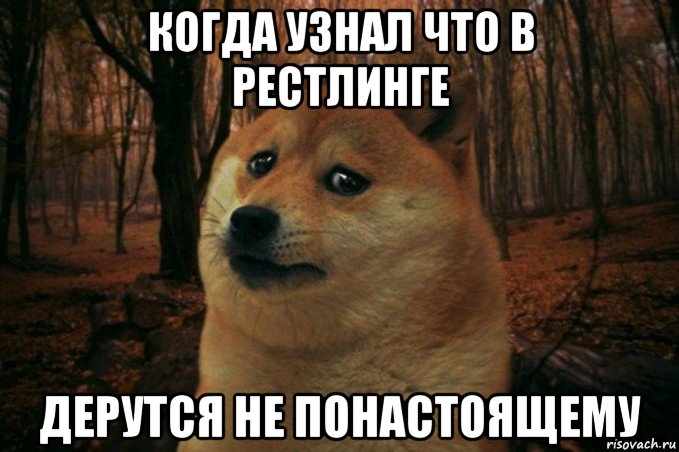 когда узнал что в рестлинге дерутся не понастоящему, Мем SAD DOGE