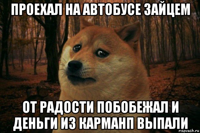 проехал на автобусе зайцем от радости побобежал и деньги из карманп выпали, Мем SAD DOGE