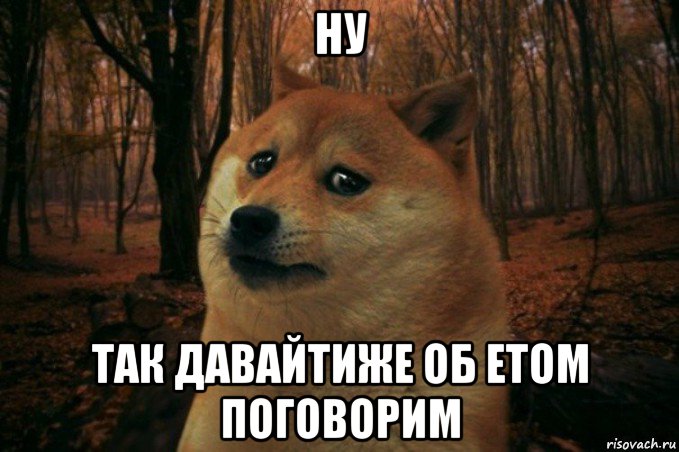 ну так давайтиже об етом поговорим, Мем SAD DOGE