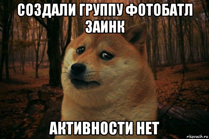 создали группу фотобатл заинк активности нет, Мем SAD DOGE