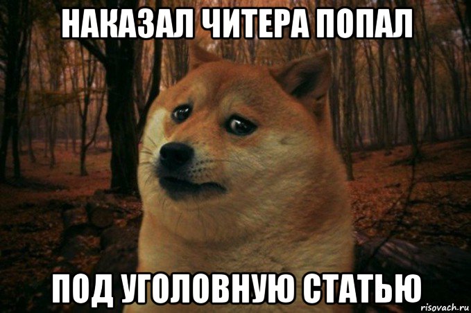 наказал читера попал под уголовную статью, Мем SAD DOGE