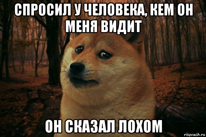 спросил у человека, кем он меня видит он сказал лохом, Мем SAD DOGE