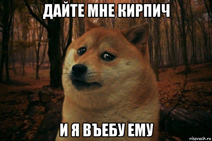 дайте мне кирпич и я въебу ему, Мем SAD DOGE