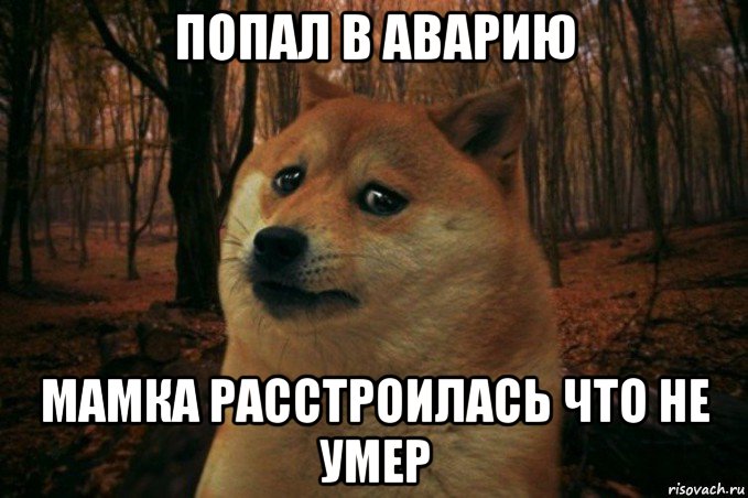 попал в аварию мамка расстроилась что не умер, Мем SAD DOGE