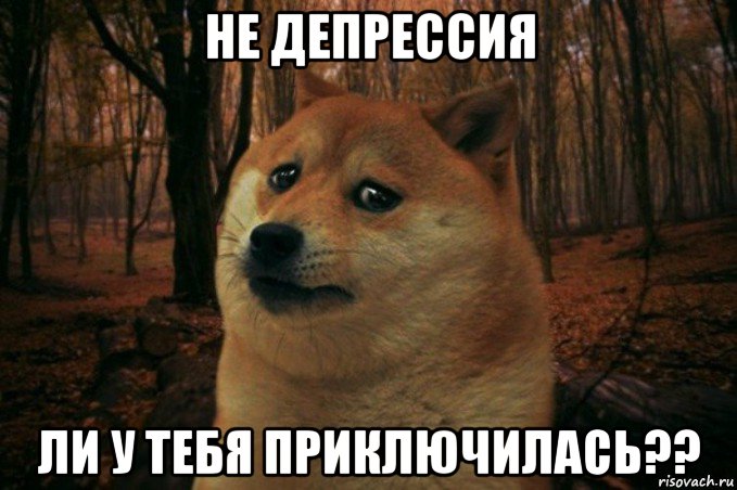 не депрессия ли у тебя приключилась??, Мем SAD DOGE