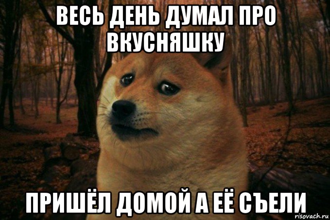 весь день думал про вкусняшку пришёл домой а её съели, Мем SAD DOGE