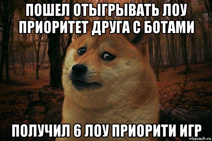 пошел отыгрывать лоу приоритет друга с ботами получил 6 лоу приорити игр, Мем SAD DOGE