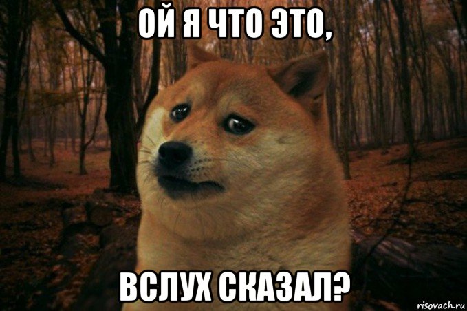 ой я что это, вслух сказал?, Мем SAD DOGE