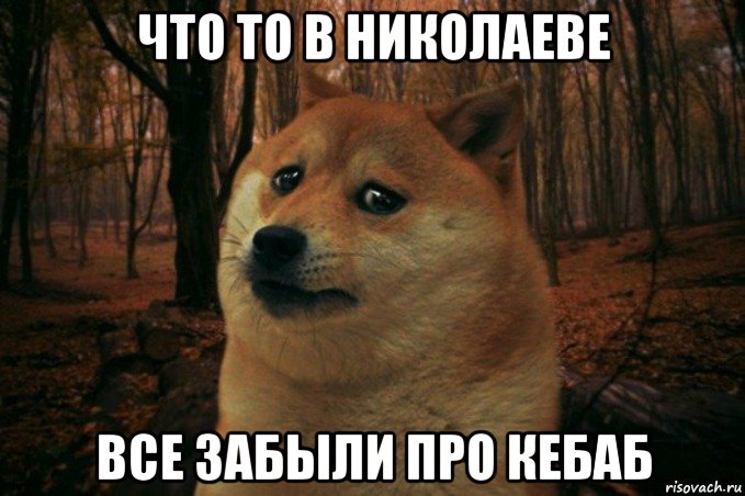 что то в николаеве все забыли про кебаб, Мем SAD DOGE