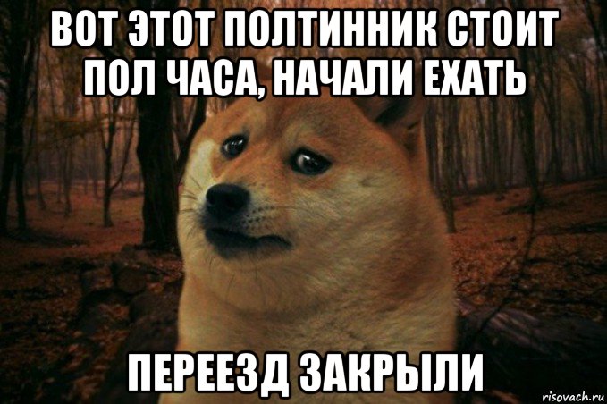 вот этот полтинник стоит пол часа, начали ехать переезд закрыли, Мем SAD DOGE