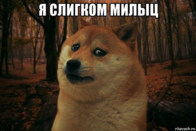 я слигком милыц , Мем SAD DOGE