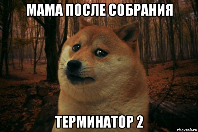 мама после собрания терминатор 2, Мем SAD DOGE