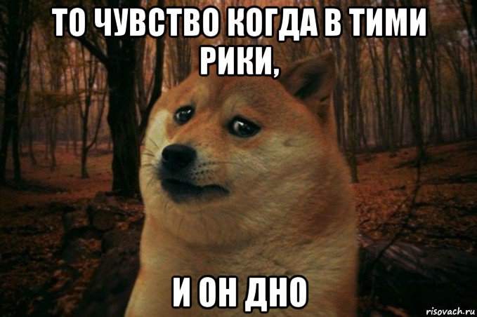 то чувство когда в тими рики, и он дно, Мем SAD DOGE